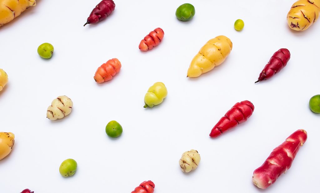 Beotanics Oca Root Tuber Plant Ingredients